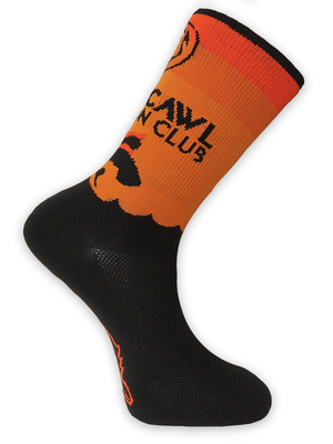 PC Tri Club sock